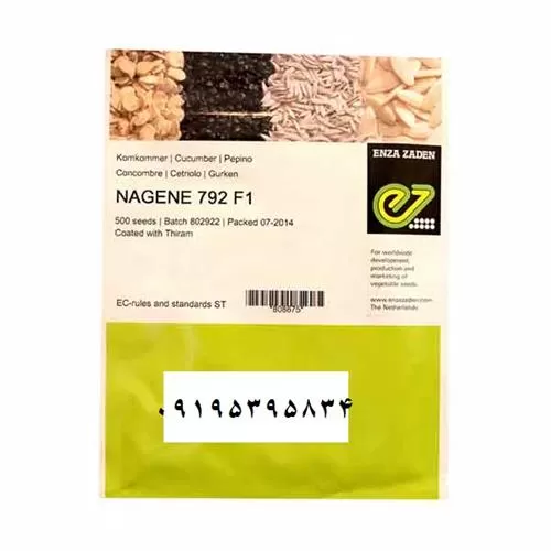 قیمت خرید قیمت بذر خیار در خوزستان در گروه خرید و فروش بذر خیار در یکمیوه -عکس1