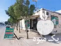 انواع سبزی های آماده خرد در گروه خرید و فروش انواع سبزی ها در یکمیوه -عکس1