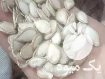 قیمت خرید بذر کدو در مهاباد در گروه خرید و فروش بذر کدو در یکمیوه -عکس1