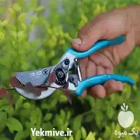 فروش قیچی باغبانی اصل در کرمانشاه در گروه خرید و فروش لوازم باغبانی در یکمیوه