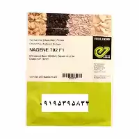 قیمت خرید قیمت بذر خیار در خوزستان در گروه خرید و فروش بذر خیار در یکمیوه