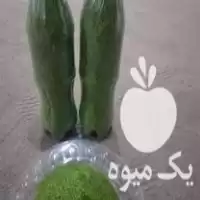 خرید انواع سبزی دلال محلی در گروه خرید و فروش انواع سبزی ها در یکمیوه