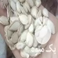 قیمت خرید بذر کدو در مهاباد در گروه خرید و فروش بذر کدو در یکمیوه