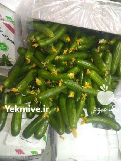 حق العمل کاری حسین زاده در تهران در گروه حق العمل کاری محصولات کشاورزی در یکمیوه -عکس1