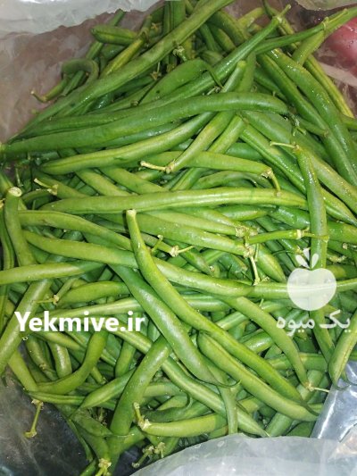 حق العمل کاری حسین زاده در تهران در گروه حق العمل کاری محصولات کشاورزی در یکمیوه -عکس2