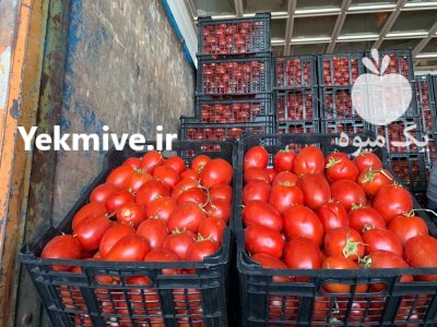 حق العمل کاری حسین زاده در تهران در گروه حق العمل کاری محصولات کشاورزی در یکمیوه -عکس4