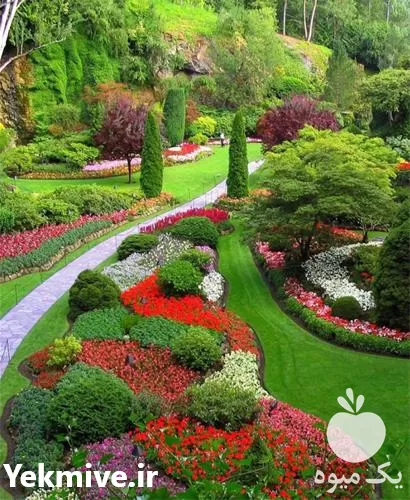 خدمات فضای سبز در گروه خدمات باغبانی در یکمیوه -عکس1