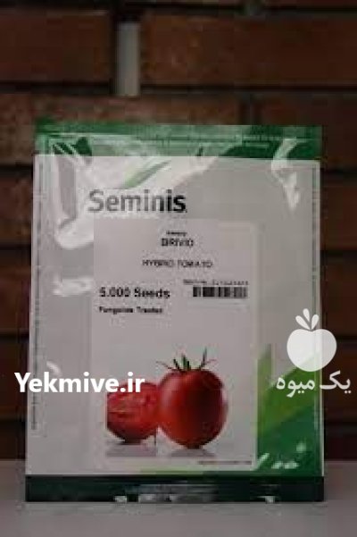 گوجه فرنگی باسیمو اصل در در شاهین شهر در گروه خرید و فروش بذر گوجه در یکمیوه -عکس1