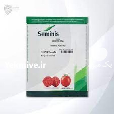 بذر گوجه فرنگی برنتا در گروه خرید و فروش بذر گوجه در یکمیوه -عکس1