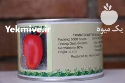 بذر گوجه فرنگی متین در کرج در گروه خرید و فروش بذر گوجه در یکمیوه -عکس1