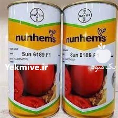 بذر گوجه فرنگی سانسید 6189 در اهواز در گروه خرید و فروش بذر گوجه در یکمیوه -عکس1
