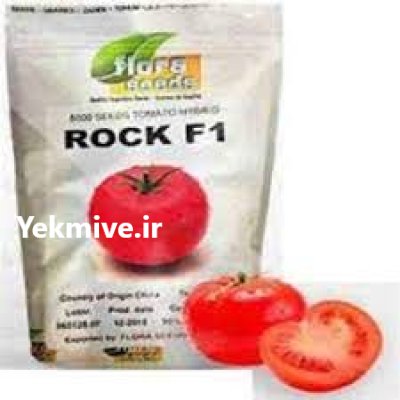 بذر گوجه فرنگی راک در بندرعباس در گروه خرید و فروش بذر گوجه در یکمیوه -عکس1