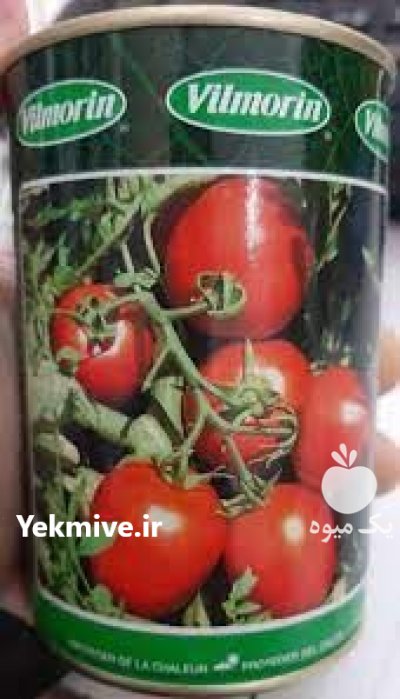 بذر گوجه فرنگی ویلمورین اصل در اصفهان در گروه خرید و فروش بذر گوجه در یکمیوه -عکس1