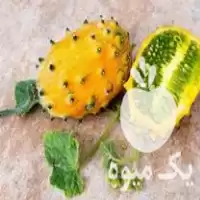 فروش نهال کیوانا فروت استوایی در کرمان  در گروه خرید و فروش میوه استوایی در یکمیوه