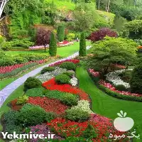 خدمات فضای سبز در گروه خدمات باغبانی در یکمیوه