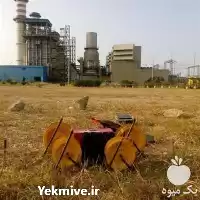 تعیین محل چاه آب در تهران در گروه حفر چاه در یکمیوه