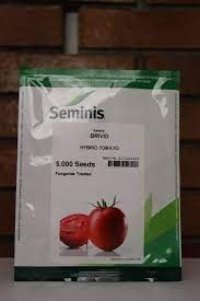 گوجه فرنگی باسیمو اصل در در شاهین شهر در گروه خرید و فروش بذر گوجه در یکمیوه