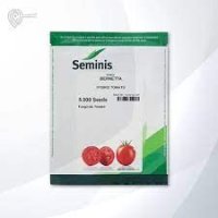 بذر گوجه فرنگی برنتا در گروه خرید و فروش بذر گوجه در یکمیوه