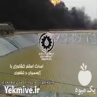 خرید و رقهای نفوذ ناپذیر پلی در گروه خرید و فروش ژئوممبران در یکمیوه