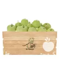 نهال سیب گلاب انواع ارقام در ارومیه در گروه خرید و فروش نهال در یکمیوه