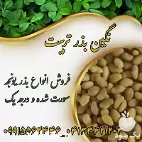 بذر یونجه بذر علوفه درجه در دهدشت در گروه خرید و فروش بذر یونجه در یکمیوه