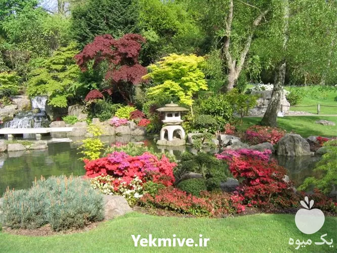 ویزیت گیاهان شما در منزل در تهران در گروه خدمات باغبانی در یکمیوه -عکس1