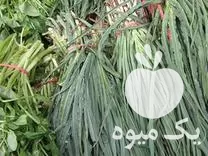 فروش تره غازیاغی تره همه در ازنا در گروه خرید و فروش انواع سبزی ها در یکمیوه -عکس1