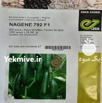 بذر خیار ناگین پرفروش اصل در اصفهان در گروه خرید و فروش بذر خیار در یکمیوه -عکس1