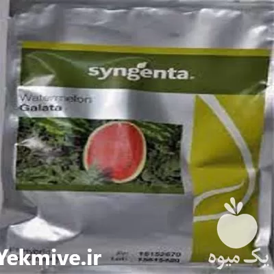 قیمت خرید بذر هندوانه در تهران در گروه خرید و فروش بذر هندوانه در یکمیوه -عکس1