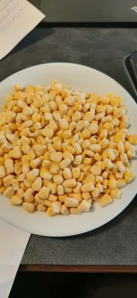 نخود سبز و ذرت منجمد در همدان در گروه خرید و فروش ذرت در یکمیوه