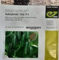 بذر خیار ناگین پرفروش اصل در اصفهان در گروه خرید و فروش بذر خیار در یکمیوه