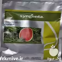 قیمت خرید بذر هندوانه در تهران در گروه خرید و فروش بذر هندوانه در یکمیوه