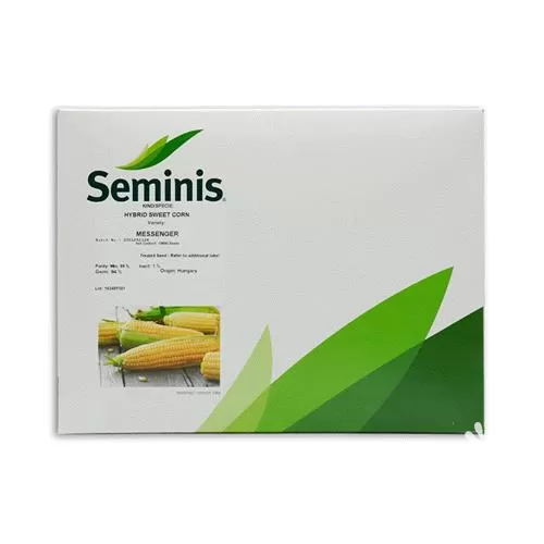 خرید توزیع بذر ذرت شیرین در فارس در گروه خرید و فروش بذر ذرت در یکمیوه -عکس1