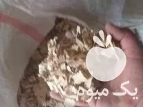 خاک اره نجاری ویژه پیوند در قزوین در گروه خرید و فروش خاک اره در یکمیوه -عکس1