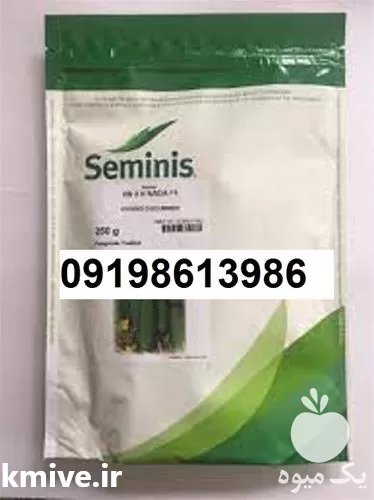 بذر خیار پر فروش اصل در گروه خرید و فروش بذر خیار در یکمیوه -عکس1