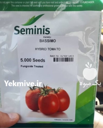 بذر گوجه فرنگی برنتا در گروه خرید و فروش بذر گوجه در یکمیوه -عکس1