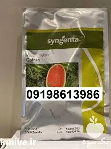خرید بذر هندوانه گالاتا پر در گروه خرید و فروش بذر هندوانه در یکمیوه -عکس1