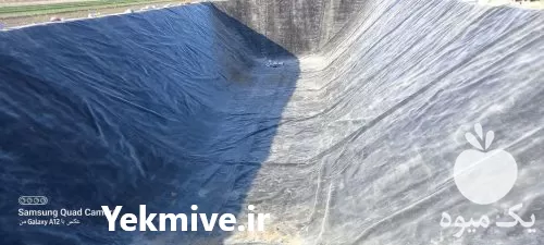 ورق استخری ژئوممبران در رنگ در شلمزار در گروه خرید و فروش ژئوممبران در یکمیوه -عکس1