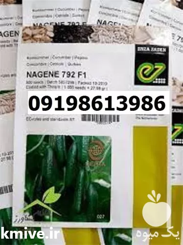 بذر خیار ناگین پر فروش اصل در اصفهان در گروه خرید و فروش بذر خیار در یکمیوه -عکس1