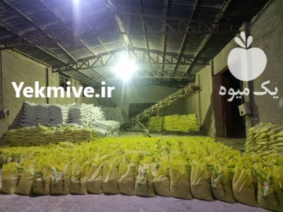 انواع گوگرد و پلت مرغی در مشهد در گروه خرید و فروش کود گوگرد در یکمیوه -عکس1