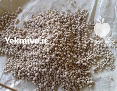 انواع گوگرد و پلت مرغی در مشهد در گروه خرید و فروش کود گوگرد در یکمیوه -عکس4