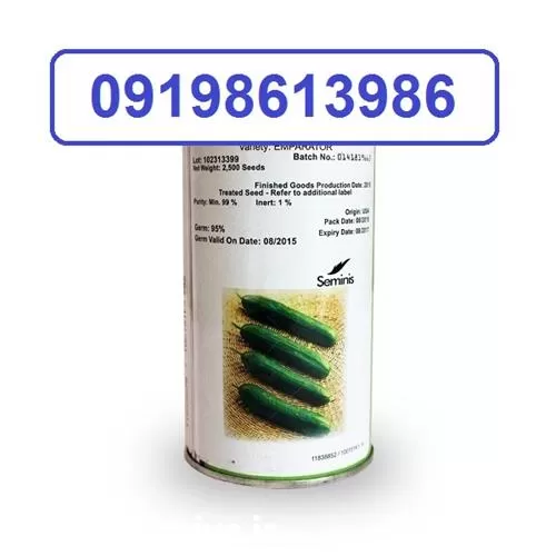 قیمت خرید بذر خیار امپراطور در گروه خرید و فروش بذر خیار در یکمیوه -عکس1