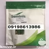 بذر خیار پر فروش اصل در گروه خرید و فروش بذر خیار در یکمیوه