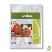 بذر گوجه فرنگی دافنیس در اصفهان در گروه خرید و فروش بذر گوجه در یکمیوه