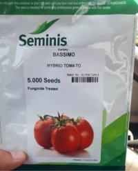 بذر گوجه فرنگی برنتا در گروه خرید و فروش بذر گوجه در یکمیوه