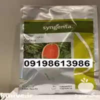 خرید بذر هندوانه گالاتا پر در گروه خرید و فروش بذر هندوانه در یکمیوه