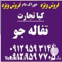 فروش تفاله جو در تهران در گروه خوراک دام و طیور در یکمیوه