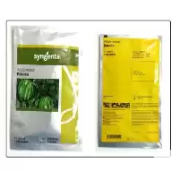 فروش ویژه بذر هندوانه باراکا در یزد در گروه خرید و فروش بذر هندوانه در یکمیوه