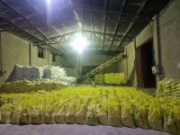 انواع گوگرد و پلت مرغی در مشهد در گروه خرید و فروش کود گوگرد در یکمیوه