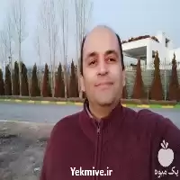 مشاور طراح و مجری فضای سبز در تهران در گروه خدمات باغبانی در یکمیوه